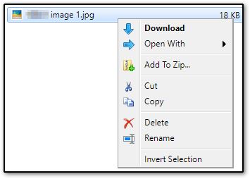 Image showing file options available in Rightworks.